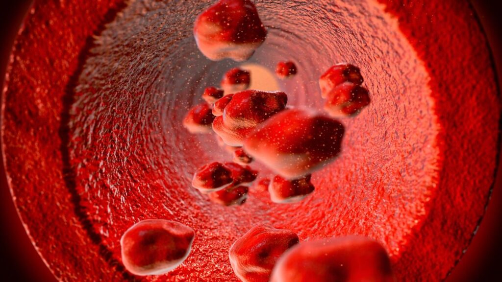 HOW TO KEEP YOUR BLOOD HEALTHY